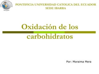 PONTIFICIA UNIVERSIDAD CATOLICA DEL ECUADOR
                SEDE IBARRA




   Oxidación de los
    carbohidratos


                           Por: Moraima Mera
 