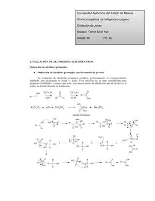 Universidad Autónoma del Estado de México
Química orgánica de halógenos y oxigeno
Oxidación de Jones
Nolasco Terrón Eder Yair
Grupo: 35

PE: IQ

 