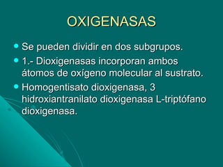 OXIGENASAS
 Se pueden dividir en dos subgrupos.
 1.- Dioxigenasas incorporan ambos
  átomos de oxígeno molecular al sustrato.
 Homogentisato dioxigenasa, 3
  hidroxiantranilato dioxigenasa L-triptófano
  dioxigenasa.
 