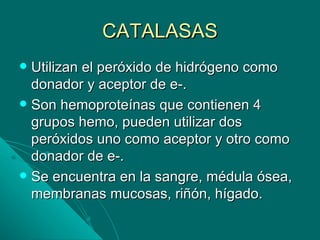 CATALASAS
 Utilizan el peróxido de hidrógeno como
  donador y aceptor de e-.
 Son hemoproteínas que contienen 4
  grupos hemo, pueden utilizar dos
  peróxidos uno como aceptor y otro como
  donador de e-.
 Se encuentra en la sangre, médula ósea,
  membranas mucosas, riñón, hígado.
 