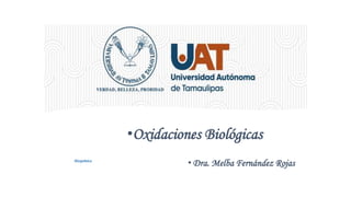 • Dra. Melba Fernández Rojas
•Oxidaciones Biológicas
Bioquímica
 
