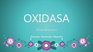 OXIDASA
Prueba Bioquimica
Zamudio Hernandez Alejandra
 