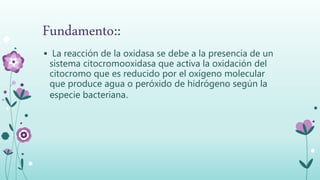 Fundamento::
 La reacción de la oxidasa se debe a la presencia de un
sistema citocromooxidasa que activa la oxidación del
citocromo que es reducido por el oxígeno molecular
que produce agua o peróxido de hidrógeno según la
especie bacteriana.
 