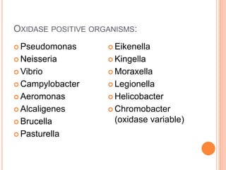 OXIDASE POSITIVE ORGANISMS:
 Pseudomonas
 Neisseria
 Vibrio
 Campylobacter
 Aeromonas
 Alcaligenes
 Brucella
 Pasturella
 Eikenella
 Kingella
 Moraxella
 Legionella
 Helicobacter
 Chromobacter
(oxidase variable)
 