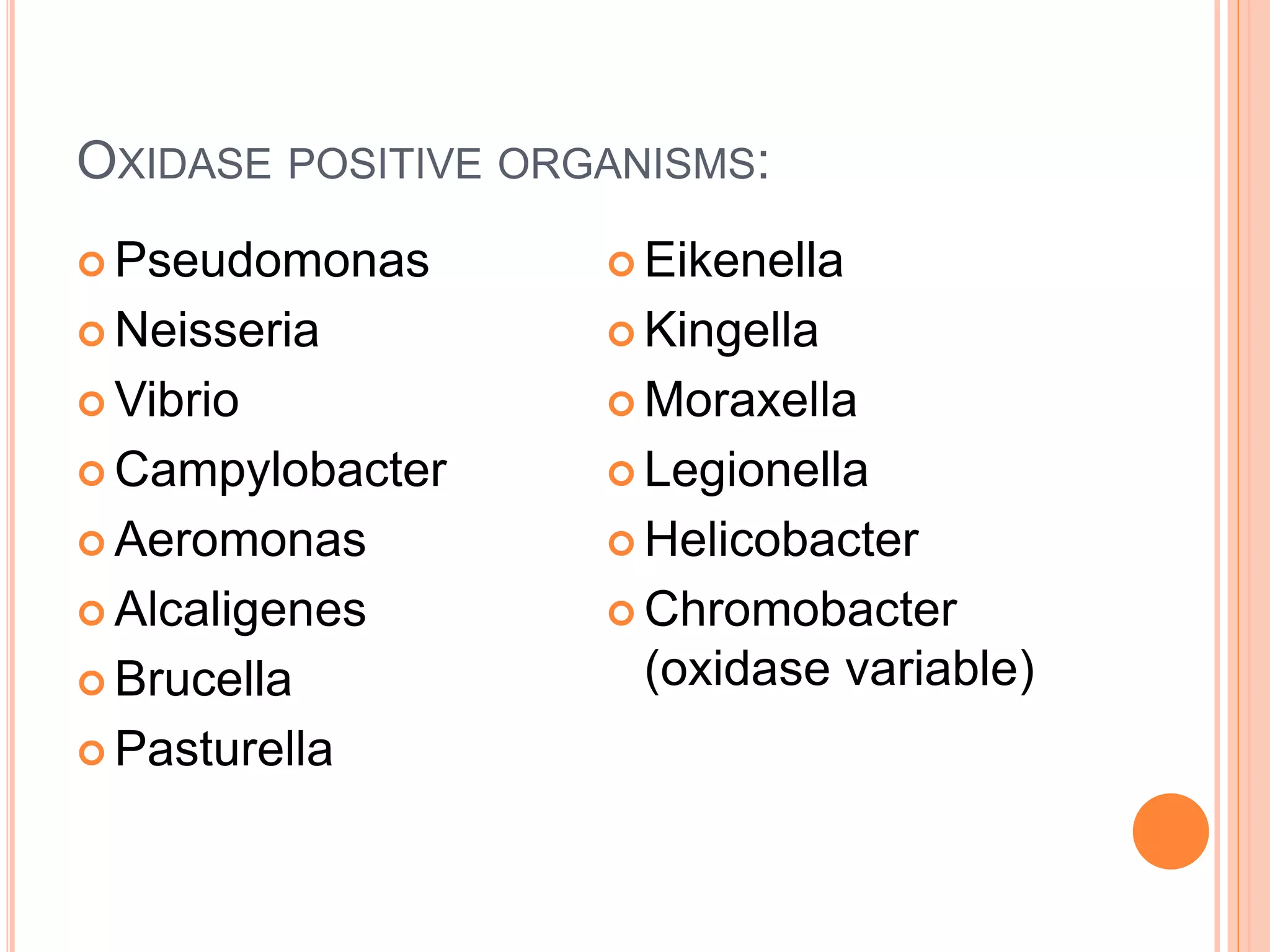 Oxidase test