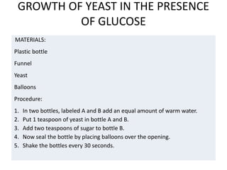 GROWTH OF YEAST IN THE PRESENCE
OF GLUCOSE
MATERIALS:
Plastic bottle
Funnel
Yeast
Balloons
Procedure:
1. In two bottles, labeled A and B add an equal amount of warm water.
2. Put 1 teaspoon of yeast in bottle A and B.
3. Add two teaspoons of sugar to bottle B.
4. Now seal the bottle by placing balloons over the opening.
5. Shake the bottles every 30 seconds.
 
