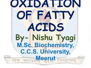 OXIDATION
OF FATTY
ACIDS
By- Nishu Tyagi
M.Sc. Biochemistry,
C.C.S. University,
Meerut
 