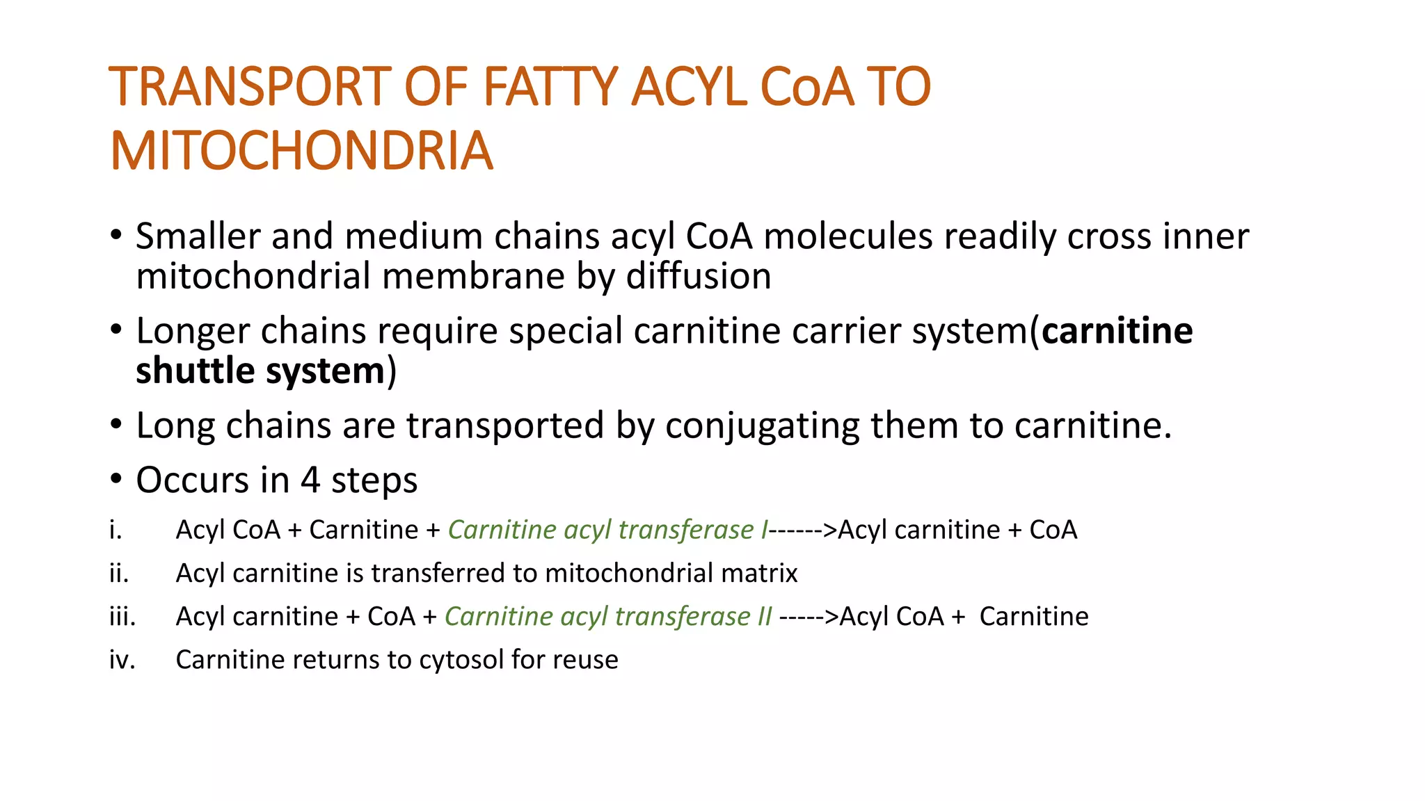 Oxidation of fatty acids | PPTX