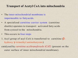 Oxidation of fatty acids ppt mth | PPTX