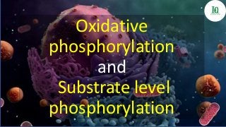 Oxidative
phosphorylation
and
Substrate level
phosphorylation
 