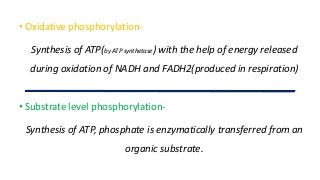 • Substrate level phosphorylation-
Synthesis of ATP, phosphate is enzymatically transferred from an
organic substrate.
• Oxidative phosphorylation-
Synthesis of ATP(by ATP synthetase) with the help of energy released
during oxidation of NADH and FADH2(produced in respiration)
 