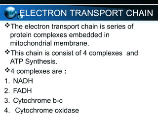 The electron transport chain is series of
protein complexes embedded in
mitochondrial membrane.
This chain is consist of 4 complexes and
ATP Synthesis.
4 complexes are :
1. NADH
2. FADH
3. Cytochrome b-c
4. Cytochrome oxidase
ELECTRON TRANSPORT CHAIN
 