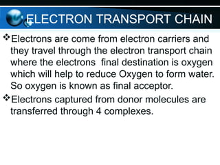 ELECTRON TRANSPORT CHAIN
Electrons are come from electron carriers and
they travel through the electron transport chain
where the electrons final destination is oxygen
which will help to reduce Oxygen to form water.
So oxygen is known as final acceptor.
Electrons captured from donor molecules are
transferred through 4 complexes.
 