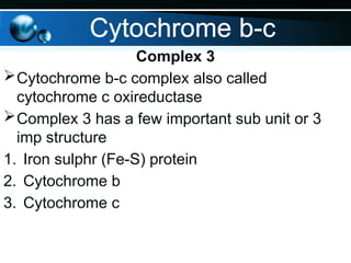 Complex 3
Cytochrome b-c complex also called
cytochrome c oxireductase
Complex 3 has a few important sub unit or 3
imp structure
1. Iron sulphr (Fe-S) protein
2. Cytochrome b
3. Cytochrome c
Cytochrome b-c
 