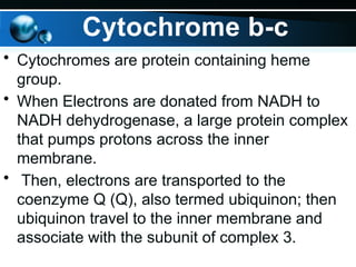 • Cytochromes are protein containing heme
group.
• When Electrons are donated from NADH to
NADH dehydrogenase, a large protein complex
that pumps protons across the inner
membrane.
• Then, electrons are transported to the
coenzyme Q (Q), also termed ubiquinon; then
ubiquinon travel to the inner membrane and
associate with the subunit of complex 3.
Cytochrome b-c
 