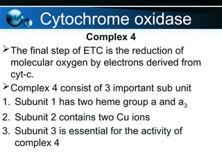 Complex 4
The final step of ETC is the reduction of
molecular oxygen by electrons derived from
cyt-c.
Complex 4 consist of 3 important sub unit
1. Subunit 1 has two heme group a and a3
2. Subunit 2 contains two Cu ions
3. Subunit 3 is essential for the activity of
complex 4
Cytochrome oxidase
 