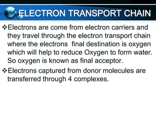 Electrons are come from electron carriers and
they travel through the electron transport chain
where the electrons final destination is oxygen
which will help to reduce Oxygen to form water.
So oxygen is known as final acceptor.
Electrons captured from donor molecules are
transferred through 4 complexes.

 