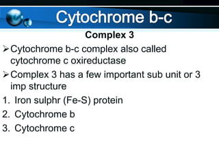 Complex 3
Cytochrome b-c complex also called
cytochrome c oxireductase
Complex 3 has a few important sub unit or 3
imp structure
1. Iron sulphr (Fe-S) protein
2. Cytochrome b
3. Cytochrome c

 