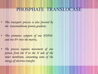 PHOSPHATE TRANSLOCASE
• This transport process is also favored by
the transmembrane proton gradient.
• This promotes symport of one H2PO4-
and one H+ into the matrix.
• The process requires movement of one
proton from the P to the N side of the
inner membrane, consuming some of the
energy of electron transfer.
 