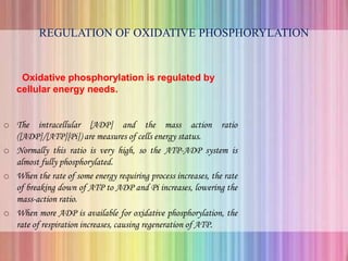REGULATION OF OXIDATIVE PHOSPHORYLATION
Oxidative phosphorylation is regulated by
cellular energy needs.
o The intracellular [ADP] and the mass action ratio
([ADP]/[ATP][Pi]) are measures of cells energy status.
o Normally this ratio is very high, so the ATP-ADP system is
almost fully phosphorylated.
o When the rate of some energy requiring process increases, the rate
of breaking down of ATP to ADP and Pi increases, lowering the
mass-action ratio.
o When more ADP is available for oxidative phosphorylation, the
rate of respiration increases, causing regeneration of ATP.
 