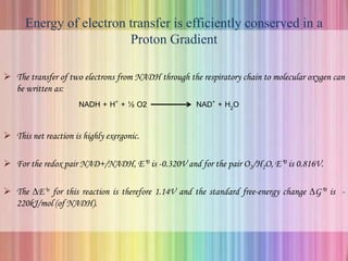 Energy of electron transfer is efficiently conserved in a
Proton Gradient
 The transfer of two electrons from NADH through the respiratory chain to molecular oxygen can
be written as:
NADH + H+ + ½ O2 NAD+ + H2O
 This net reaction is highly exergonic.
 For the redox pair NAD+/NADH, E’0 is -0.320V and for the pair O2/H2O, E’0 is 0.816V.
 The ∆E’o for this reaction is therefore 1.14V and the standard free-energy change ∆G’0 is -
220kJ/mol (of NADH).
 