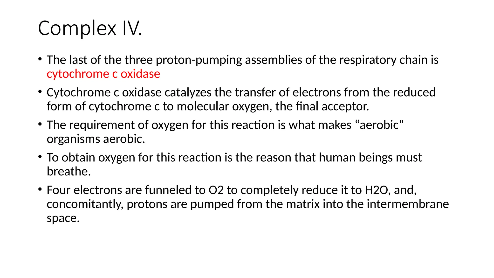 Complex IV.
• The last of the three proton-pumping assemblies of the respiratory chain is
cytochrome c oxidase
• Cytochrome c oxidase catalyzes the transfer of electrons from the reduced
form of cytochrome c to molecular oxygen, the final acceptor.
• The requirement of oxygen for this reaction is what makes “aerobic”
organisms aerobic.
• To obtain oxygen for this reaction is the reason that human beings must
breathe.
• Four electrons are funneled to O2 to completely reduce it to H2O, and,
concomitantly, protons are pumped from the matrix into the intermembrane
space.
 