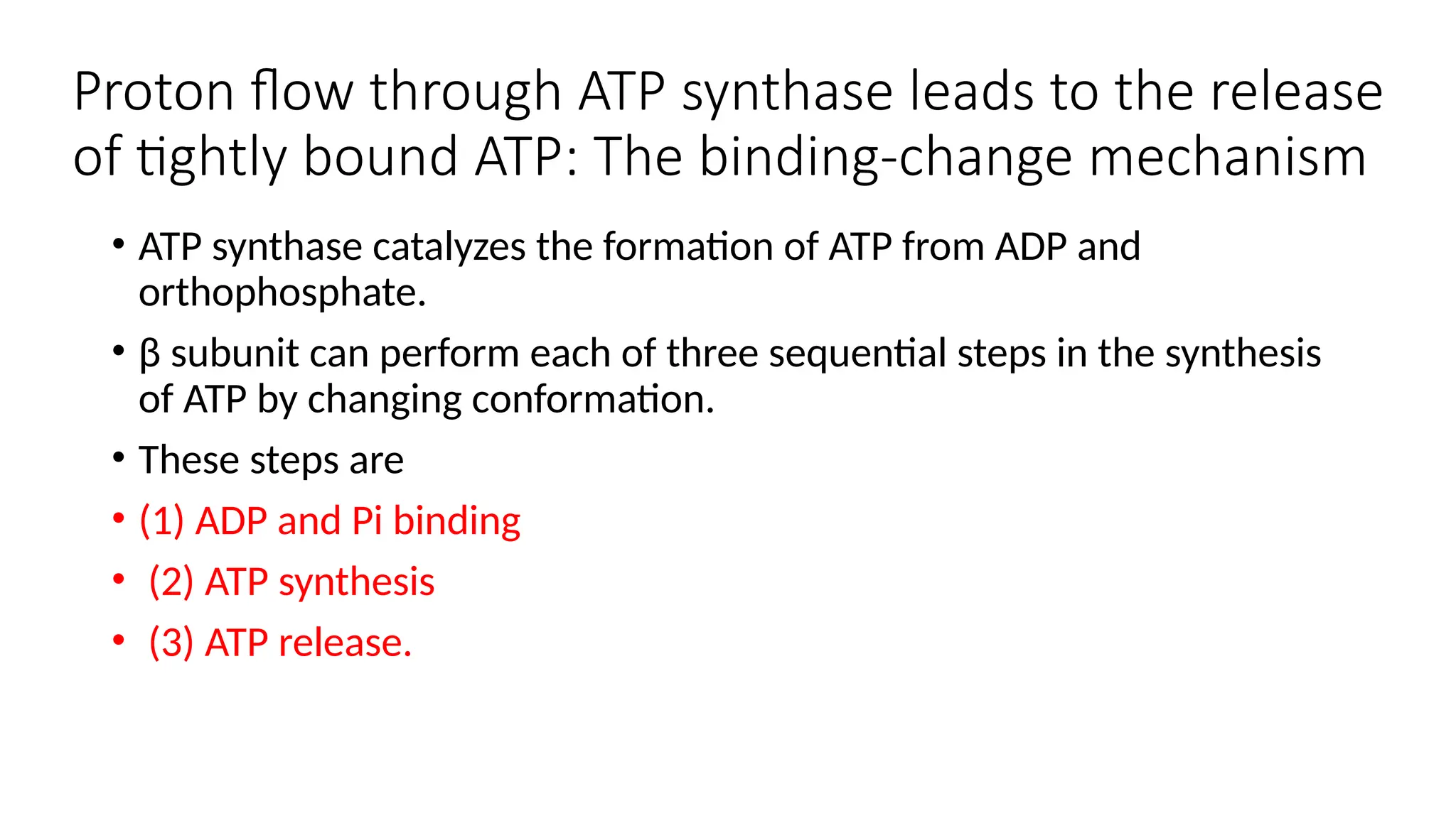 Proton flow through ATP synthase leads to the release
of tightly bound ATP: The binding-change mechanism
• ATP synthase catalyzes the formation of ATP from ADP and
orthophosphate.
• β subunit can perform each of three sequential steps in the synthesis
of ATP by changing conformation.
• These steps are
• (1) ADP and Pi binding
• (2) ATP synthesis
• (3) ATP release.
 