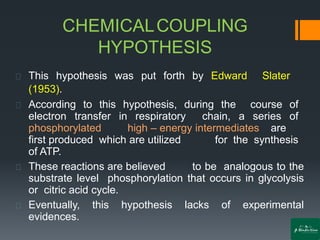 CHEMICALCOUPLING
HYPOTHESIS
This hypothesis was put forth by Edward Slater
(1953).
According to this hypothesis, during the course of
electron transfer in respiratory chain, a series of
phosphorylated high – energy intermediates are
first produced which are utilized for the synthesis
of ATP.
These reactions are believed to be analogous to the
substrate level phosphorylation that occurs in glycolysis
or citric acid cycle.
Eventually, this hypothesis lacks of experimental
evidences.
 