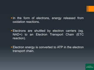 ▪In the form of electrons, energy released from
oxidation reactions.
▪Electrons are shuttled by electron carriers (eg.
NAD+) to an Electron Transport Chain (ETC
reaction).
▪Electron energy is converted to ATP in the electron
transport chain.
 