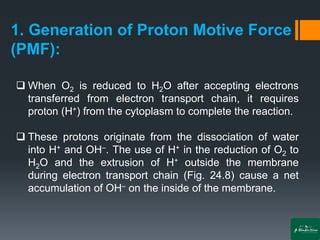1. Generation of Proton Motive Force
(PMF):
❑ When O2 is reduced to H2O after accepting electrons
transferred from electron transport chain, it requires
proton (H+) from the cytoplasm to complete the reaction.
❑ These protons originate from the dissociation of water
into H+ and OH–. The use of H+ in the reduction of O2 to
H2O and the extrusion of H+ outside the membrane
during electron transport chain (Fig. 24.8) cause a net
accumulation of OH– on the inside of the membrane.
 