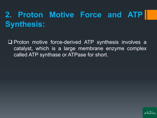 2. Proton Motive Force and ATP
Synthesis:
❑ Proton motive force-derived ATP synthesis involves a
catalyst, which is a large membrane enzyme complex
called ATP synthase or ATPase for short.
 