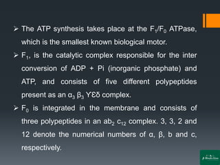 ➢ The ATP synthesis takes place at the F1/F0 ATPase,
which is the smallest known biological motor.
➢ F1, is the catalytic complex responsible for the inter
conversion of ADP + Pi (inorganic phosphate) and
ATP, and consists of five different polypeptides
present as an α3 β3 ϒƐδ complex.
➢ F0 is integrated in the membrane and consists of
three polypeptides in an ab2 c12 complex. 3, 3, 2 and
12 denote the numerical numbers of α, β, b and c,
respectively.
 