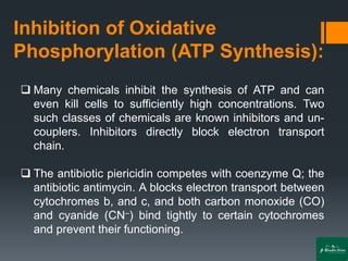 Inhibition of Oxidative
Phosphorylation (ATP Synthesis):
❑ Many chemicals inhibit the synthesis of ATP and can
even kill cells to sufficiently high concentrations. Two
such classes of chemicals are known inhibitors and un-
couplers. Inhibitors directly block electron transport
chain.
❑ The antibiotic piericidin competes with coenzyme Q; the
antibiotic antimycin. A blocks electron transport between
cytochromes b, and c, and both carbon monoxide (CO)
and cyanide (CN–) bind tightly to certain cytochromes
and prevent their functioning.
 