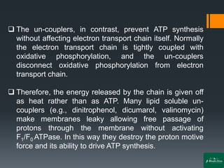 ❑ The un-couplers, in contrast, prevent ATP synthesis
without affecting electron transport chain itself. Normally
the electron transport chain is tightly coupled with
oxidative phosphorylation, and the un-couplers
disconnect oxidative phosphorylation from electron
transport chain.
❑ Therefore, the energy released by the chain is given off
as heat rather than as ATP. Many lipid soluble un-
couplers (e.g., dinitrophenol, dicumarol, valinomycin)
make membranes leaky allowing free passage of
protons through the membrane without activating
F1/F0 ATPase. In this way they destroy the proton motive
force and its ability to drive ATP synthesis.
 