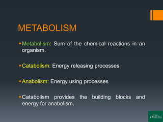 METABOLISM
▪Metabolism: Sum of the chemical reactions in an
organism.
▪Catabolism: Energy releasing processes
▪Anabolism: Energy using processes
▪Catabolism provides the building blocks and
energy for anabolism.
 