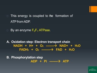 This energy is coupled to the formation of
ATPfromADP.
By an enzyme F0F1 ATPase.
A. Oxidation step: Electron transport chain
NADH + H+ + O2 --------→ NAD+ + H2O
FADH2 + O2 ---------→ FAD + H2O
B. Phosphorylation step
ADP + Pi --------→ ATP
 
