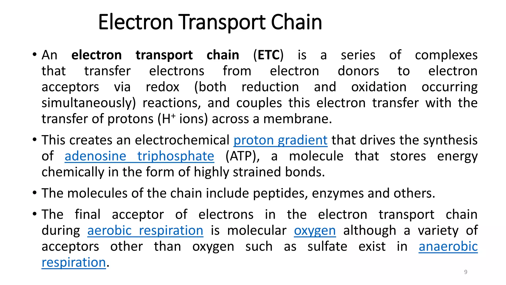 Oxidative phosphorylation and electron transport chain | PPTX