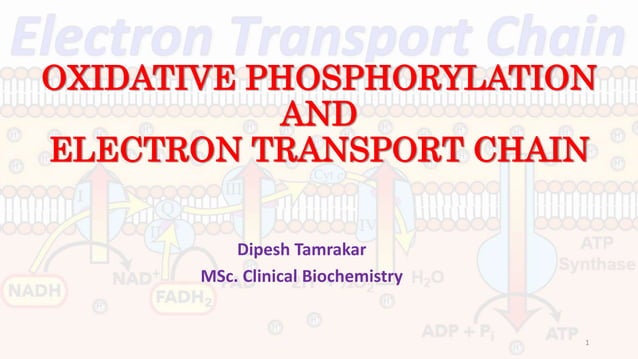 Oxidative phosphorylation and electron transport chain | PPTX