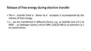 Release of free energy during electron transfer
• The e- transfer from e- donor to e- acceptor is accompanied by the
relea...