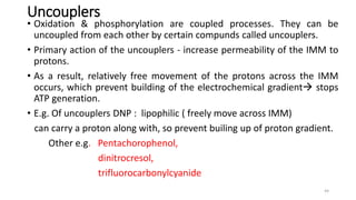 Uncouplers
• Oxidation & phosphorylation are coupled processes. They can be
uncoupled from each other by certain compunds ...