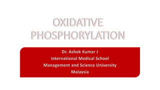 Dr. Ashok Kumar J 
International Medical School 
Management and Science University 
Malaysia 
 