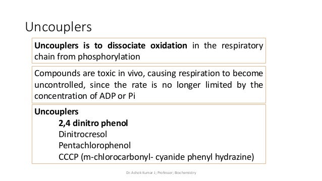 what is cccp in biochem