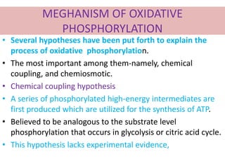 MEGHANISM OF OXIDATIVE
PHOSPHORYLATION
• Several hypotheses have been put forth to explain the
process of oxidative phosphorylation.
• The most important among them-namely, chemical
coupling, and chemiosmotic.
• Chemical coupling hypothesis
• A series of phosphorylated high-energy intermediates are
first produced which are utilized for the synthesis of ATP.
• Believed to be analogous to the substrate level
phosphorylation that occurs in glycolysis or citric acid cycle.
• This hypothesis lacks experimental evidence,
 