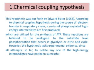 1.Chermical coupling hypothesis
This hypothesis was put forth by Edward Slater (1953). According
to chemical coupling hypothesis during the course of electron
transfer in respiratory chain, a series of phosphorylated high-
energy intermediates are first produced
which are utilized for the synthesis of ATP. These reactions are
believed to be analogous to the substrate level
phosphorylation that occurs in glycolysis or citric acid cycle.
However, this hypothesis lacks experimental evidence, since
all attempts, so far, to isolate any one of the high-energy
intermediates have not been successful
 