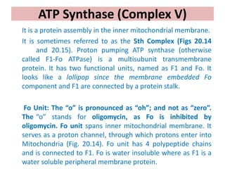 ATP Synthase (Complex V)
It is a protein assembly in the inner mitochondrial membrane.
It is sometimes referred to as the 5th Complex (Figs 20.14
and 20.15). Proton pumping ATP synthase (otherwise
called F1-Fo ATPase) is a multisubunit transmembrane
protein. It has two functional units, named as F1 and Fo. It
looks like a lollipop since the membrane embedded Fo
component and F1 are connected by a protein stalk.
Fo Unit: The “o” is pronounced as “oh”; and not as “zero”.
The “o” stands for oligomycin, as Fo is inhibited by
oligomycin. Fo unit spans inner mitochondrial membrane. It
serves as a proton channel, through which protons enter into
Mitochondria (Fig. 20.14). Fo unit has 4 polypeptide chains
and is connected to F1. Fo is water insoluble where as F1 is a
water soluble peripheral membrane protein.
 