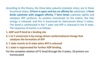 According to this theory, the three beta subunits (catalytic sites), are in three
functional states: O form is open and has no affinity for substrates. L form
binds substrate with sluggish affinity. T form binds substrate tightly and
catalyzes ATP synthesis. As protons translocate to the matrix, the free
energy is released, and this is harnessed to interconvert these 3 states.
The bond is synthesized in the T state and ATP is released in the O state.
The sequence of events is as follows:
1. ADP and Pi bind to L binding site
2. L to T conversion is by energy driven conformational change that
catalyzes the formation of ATP
3. T state reverts to O state when ATP is released
4. L state is regenerated for further ADP binding.
For the complete rotation of F1 head through the 3 states, 10 protons are
translocated
 