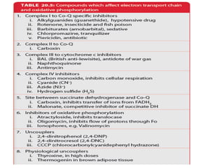 BIOLOGICAL OXIDATION L4 (Oxidative phosphorylation)