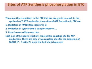 Sites of ATP Synthesis phosphorylation in ETC
There are three reactions in the ETC that are exergonic to result in the
synthesis of 3 ATP molecules three sites of ATP formation in ETC are
1. Oxidation of FMNH2 by coenzyme Q.
2. Oxidation of cytochrome b by cytochrome c1 .
3. Cytochrome oxidase reaction.
Each one of the above reactions representsa coupling site tor ATP
production. There are only  two coupling sites for the oxidation of
FADH2 (P : O ratio 2), since the first site is bypassed
 