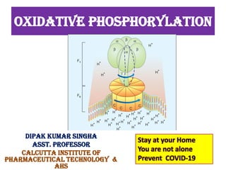 OXIDATIVE PHOSPHORYLATION
DIPAK KUMAR SINGHA
ASST. PROFESSOR
CALCUTTA INSTITUTE OF
PHARMACEUTICAL TECHNOLOGY &
AHS
Stay at your Home
You are not alone
Prevent COVID-19
 