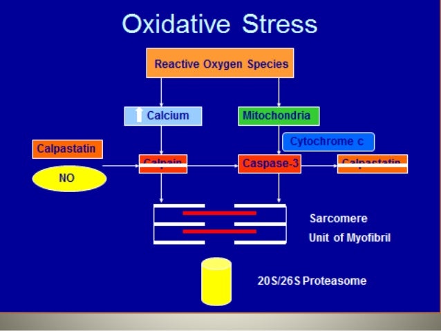 pdf advances in cryogenic engineering proceedings of the 1972 cryogenic engineering conference national bureau of standards boulder colorado august